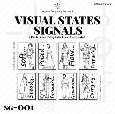 8 Pack SG-001 Visual States Clear Vinyl Stickers
